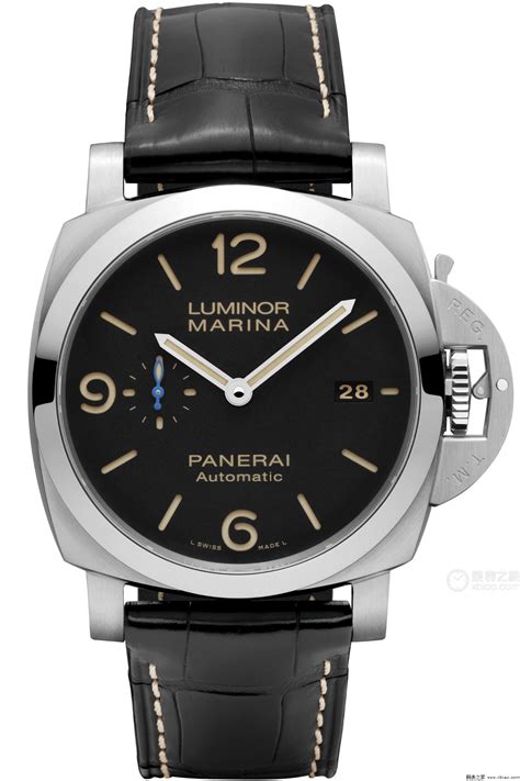 pam01312